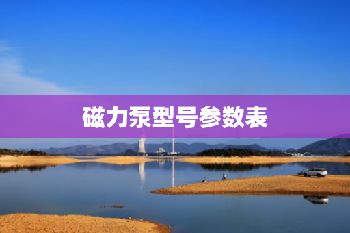 磁力泵型号参数表