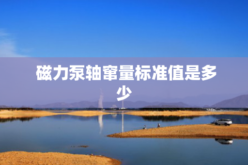  磁力泵轴窜量标准值是多少