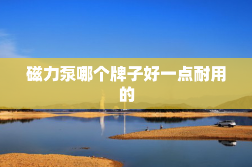 磁力泵哪个牌子好一点耐用的