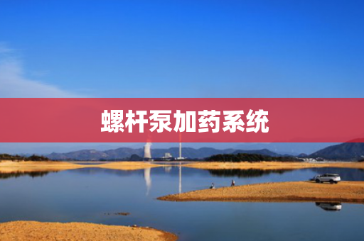  螺杆泵加药系统