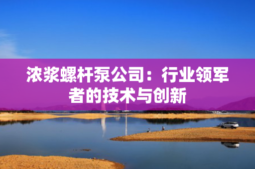 浓浆螺杆泵公司：行业领军者的技术与创新