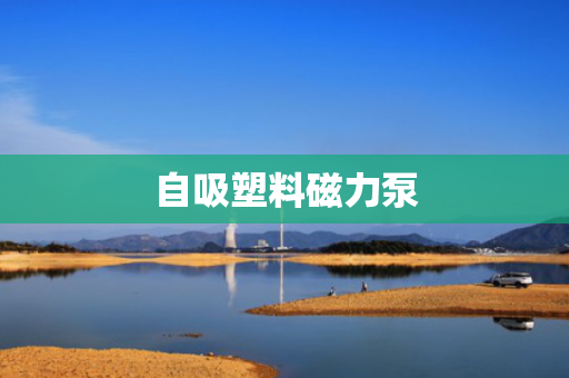 自吸塑料磁力泵