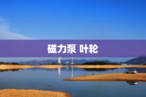 磁力泵 叶轮