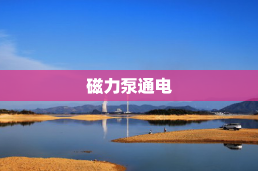 磁力泵通电