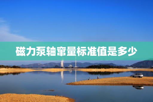 磁力泵轴窜量标准值是多少