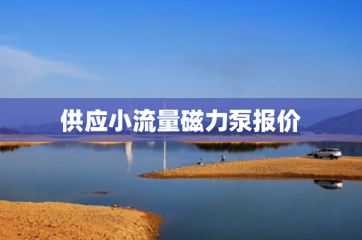 供应小流量磁力泵报价