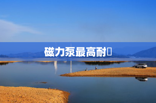 磁力泵最高耐溫