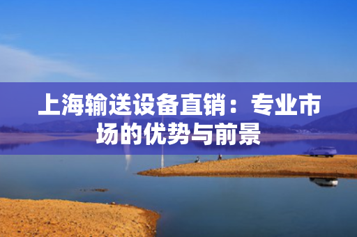 上海输送设备直销：专业市场的优势与前景