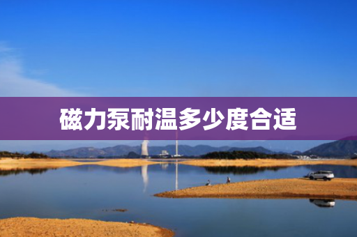 磁力泵耐温多少度合适