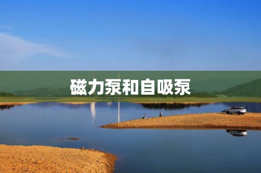 磁力泵和自吸泵