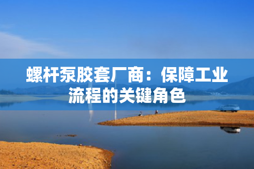 螺杆泵胶套厂商：保障工业流程的关键角色