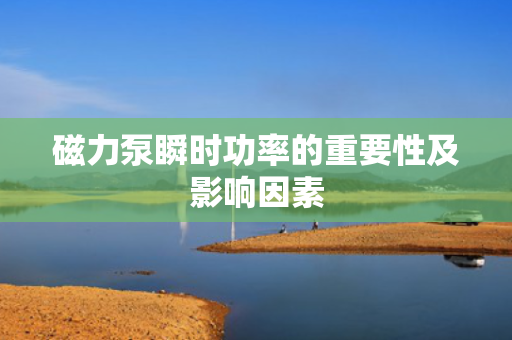 磁力泵瞬时功率的重要性及影响因素
