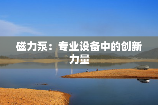 磁力泵：专业设备中的创新力量