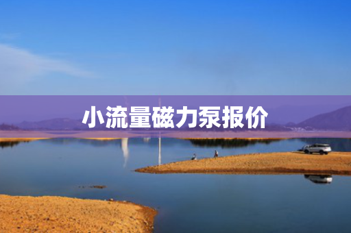 小流量磁力泵报价