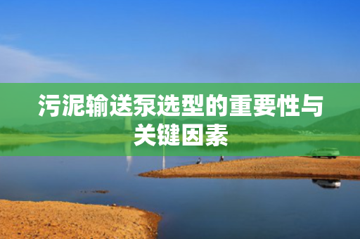 污泥输送泵选型的重要性与关键因素