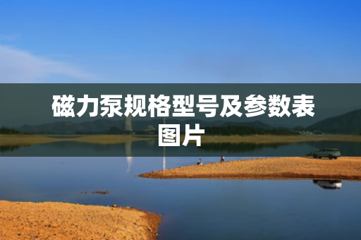 磁力泵规格型号及参数表图片
