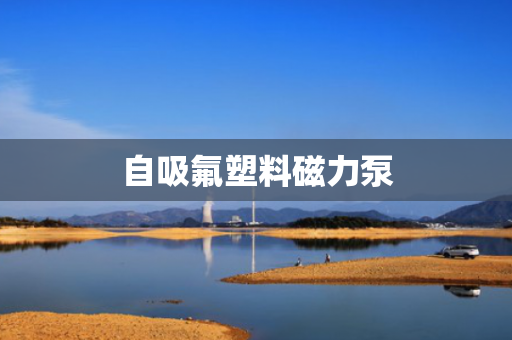 自吸氟塑料磁力泵