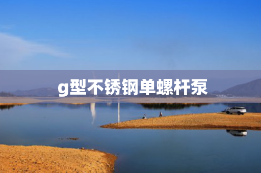  g型不锈钢单螺杆泵