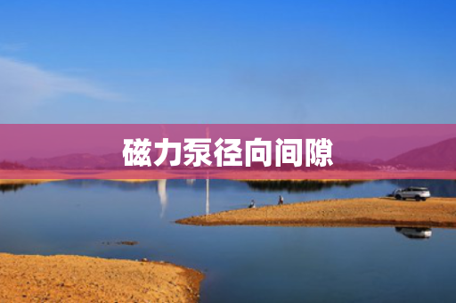 磁力泵径向间隙