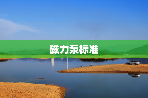 磁力泵标准