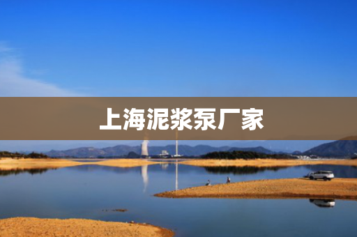  上海泥浆泵厂家