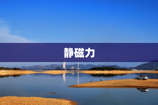 静磁力