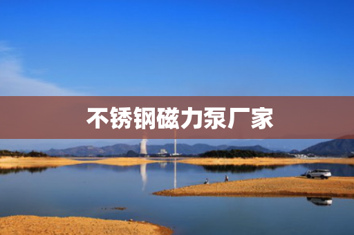  不锈钢磁力泵厂家