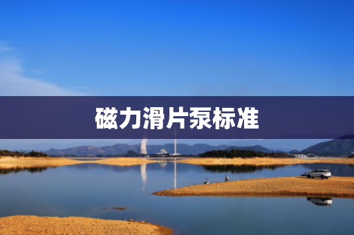 磁力滑片泵标准