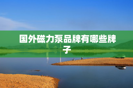  国外磁力泵品牌有哪些牌子