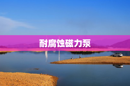 耐腐蚀磁力泵