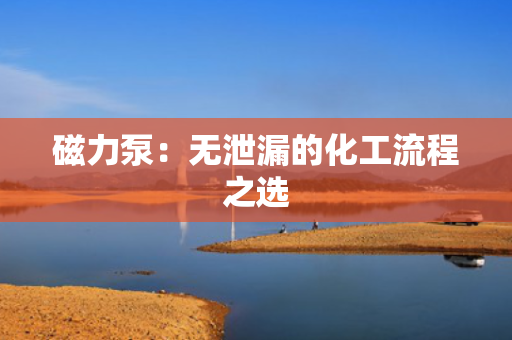 磁力泵：无泄漏的化工流程之选