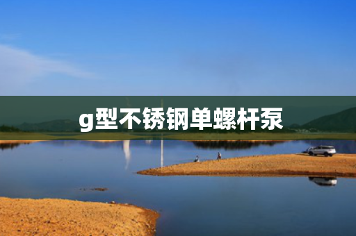  g型不锈钢单螺杆泵