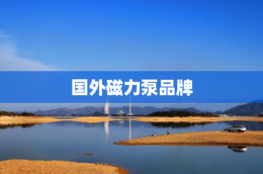 国外磁力泵品牌
