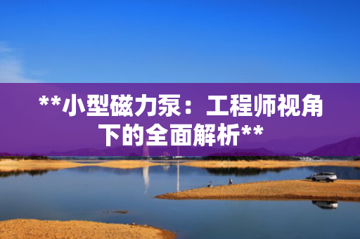 **小型磁力泵：工程师视角下的全面解析**