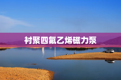 衬聚四氟乙烯磁力泵