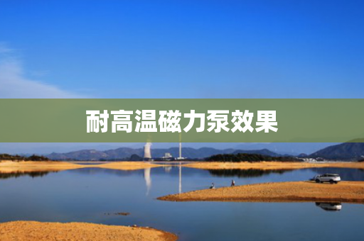 耐高温磁力泵效果