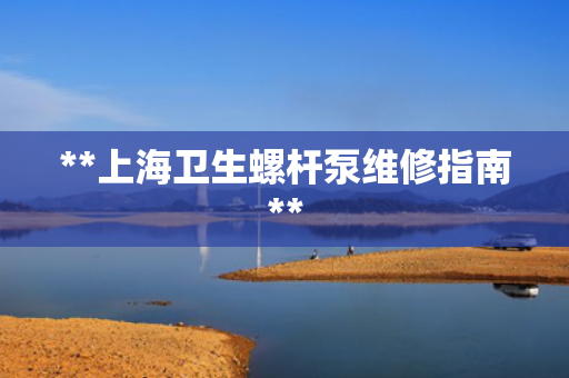 **上海卫生螺杆泵维修指南**