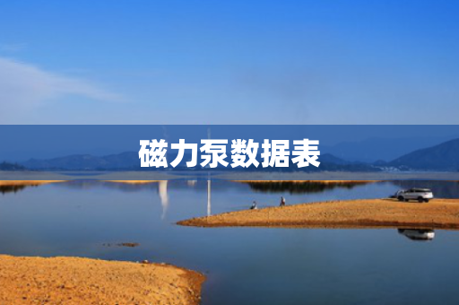 磁力泵数据表
