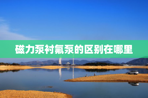 磁力泵衬氟泵的区别在哪里
