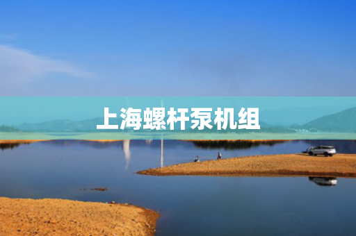上海螺杆泵机组