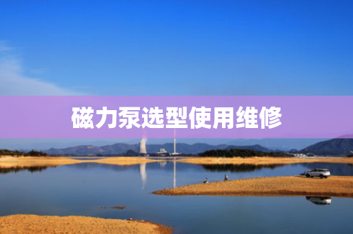 磁力泵选型使用维修