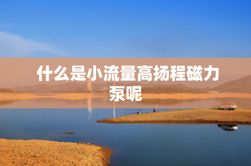  什么是小流量高扬程磁力泵呢