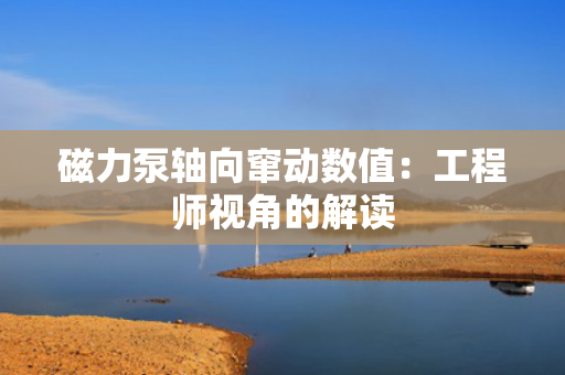 磁力泵轴向窜动数值：工程师视角的解读