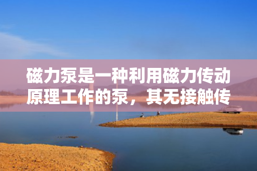 磁力泵是一种利用磁力传动原理工作的泵，其无接触传递扭矩的特点使得它具有许多优点，如泄漏少、维护方便等。磁力泵广泛应用于化工、制药、石油、电子、冶金等领域，成为了许多工艺流程中不可或缺的设备。