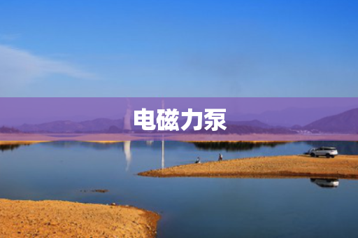 电磁力泵