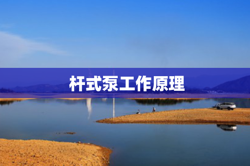  杆式泵工作原理