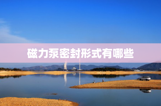 磁力泵密封形式有哪些