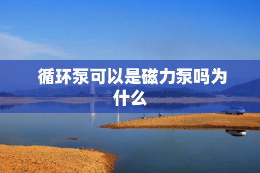  循环泵可以是磁力泵吗为什么