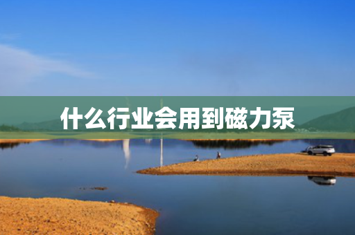 什么行业会用到磁力泵