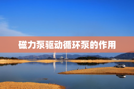 磁力泵驱动循环泵的作用